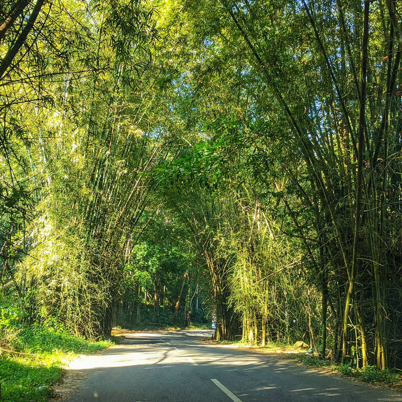 Maredumilli 2 Days Tour Package