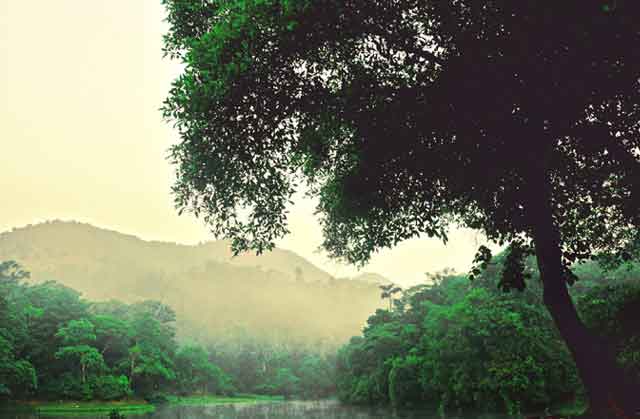 Maredumilli Tour Package